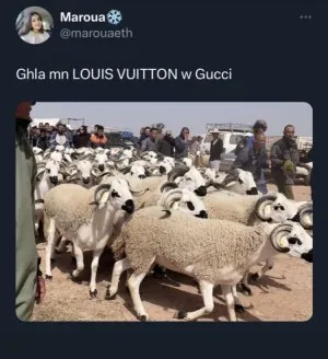 1687865141751.jpeg