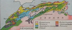 atlas 1.jpg