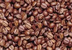 tete cafe.jpg