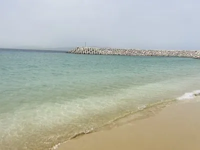 IMG_7399.jpeg