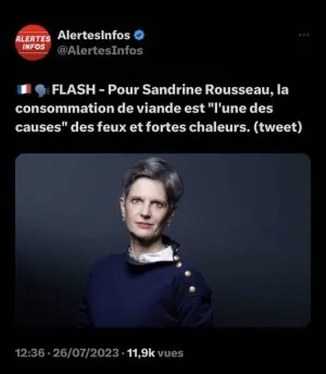 1690386698354.jpeg