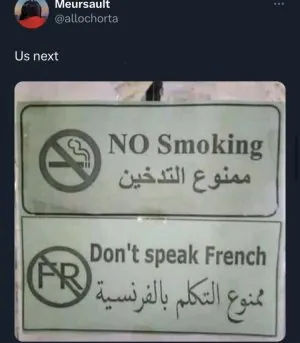 1691086681252.jpeg