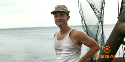 1691588732706.gif