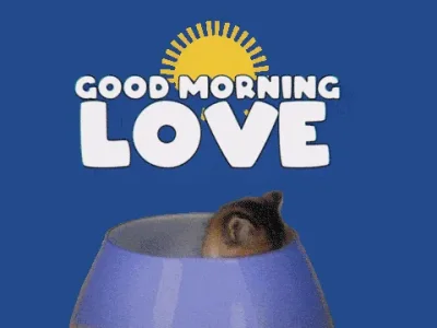 giphy-downsized.gif