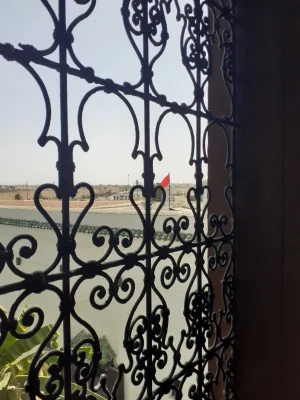 20230812_143358.jpg