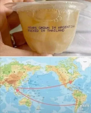 1692333831204.png