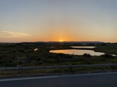 IMG_4372.jpeg