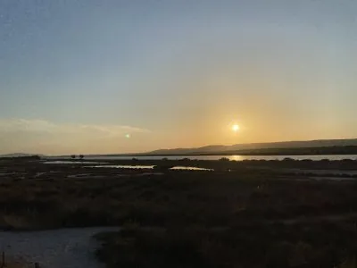 IMG_4351.jpeg