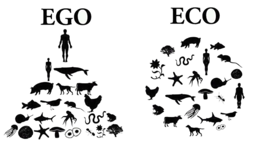Ego eco .png