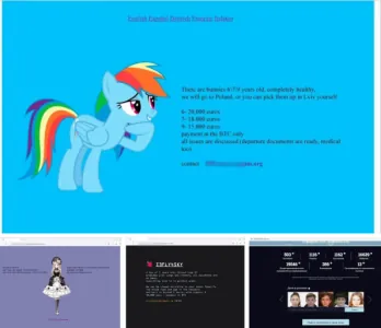 1693505700175.png