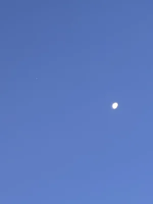 IMG_6981.jpeg