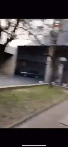 1694909337591.gif