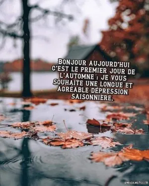 FB_IMG_1695456264218.jpg