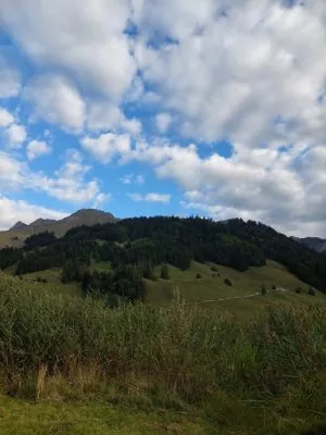 20230923_175937.jpg