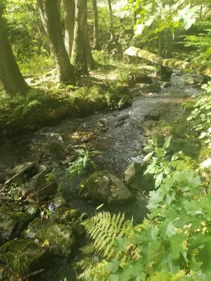 20231014_133115.jpg