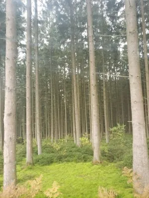 20231014_160835.jpg