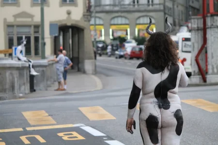 vache3.jpg