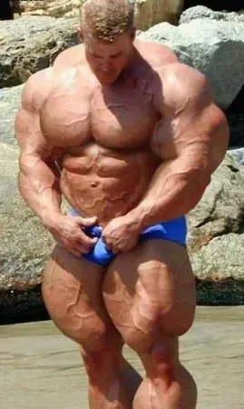beach.The-Incredible-Rigolo-269x450.jpg