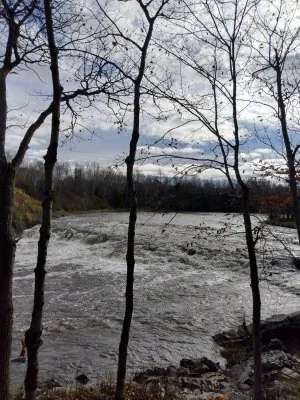 IMG_20231029_115116396_HDR.jpg