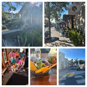 monday-late-lunch-on-solano.jpg