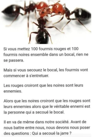 8C15868B-3F94-403C-A302-6F313370FAC0.jpeg