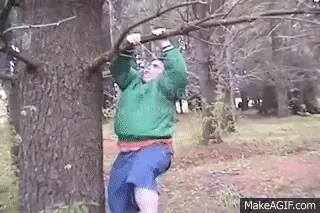 1699910061358.gif