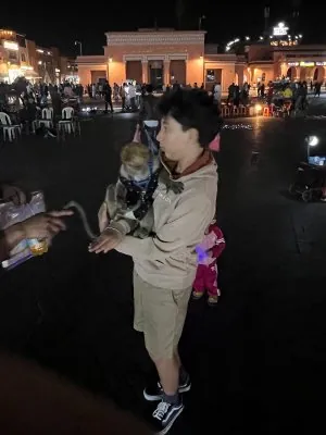 adam-monkey.jpeg