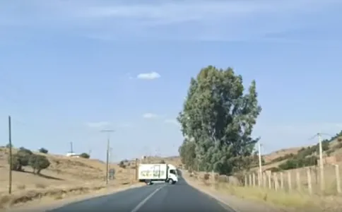 monkey-driver.png