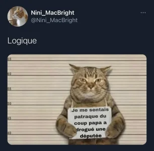 IMG_3499.jpeg