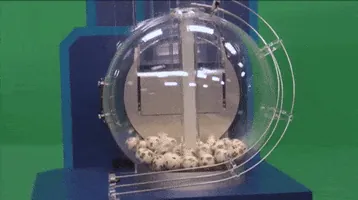 200 (9).gif