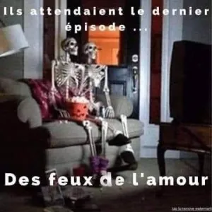 1701880704450.jpeg