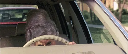 1702299326048.gif