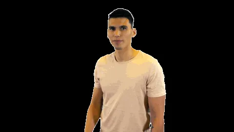 giphy.gif