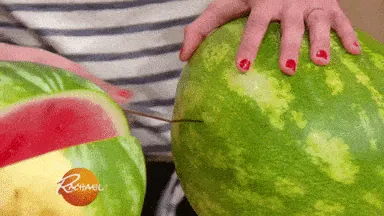 giphy-downsized.gif
