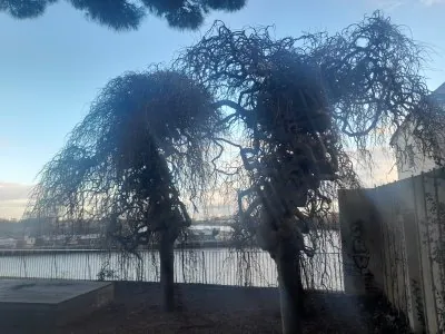 20240106_160346.jpg