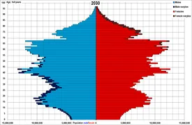 China_population_pyramid_projected_for_2030.png