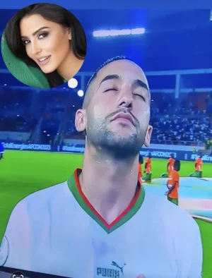 1706130564909.png