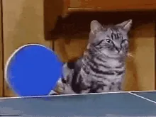 1706375319555.gif