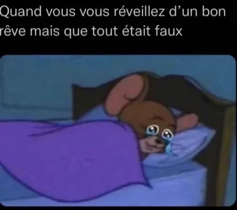 1707766841769.jpeg