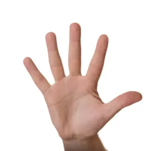 give-me-five.jpg