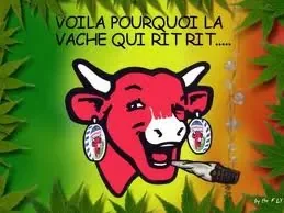 vachequirit.jpg