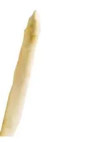 th-1.jpeg