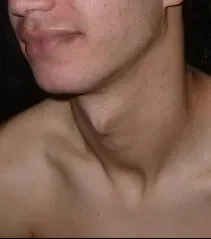 bimo2.jpg