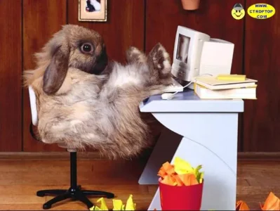 Adifa devant son PC.jpg