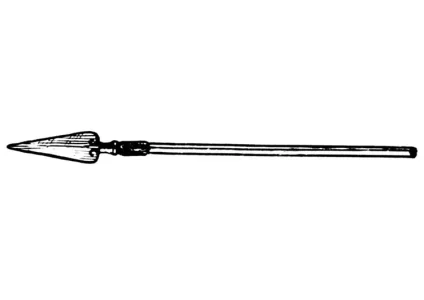 lance-18843.jpg