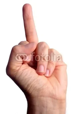 400_F_21688720_jrwbtzaOLjZ3IB28bkVGxUG6lO653Gvc.jpg