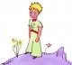 avatar295051_159.gif.jpg