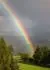 avatar228134_2.gif.jpg