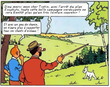Tintin écophyto.jpg