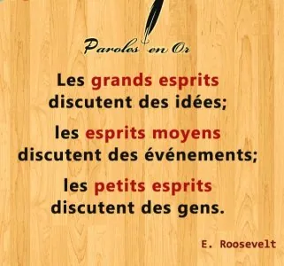 les-grands-esprits-et-les-p.jpg